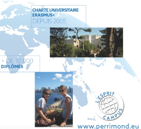 management-du-developpement-commercial-parcours-commerce-international-etranger